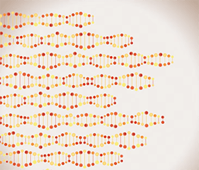 Small Molecule Compounds and the VEGF Signaling Pathway